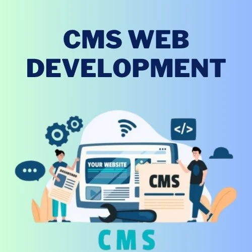 Custom CMS Development Services | CMS Web Application Development in Texas